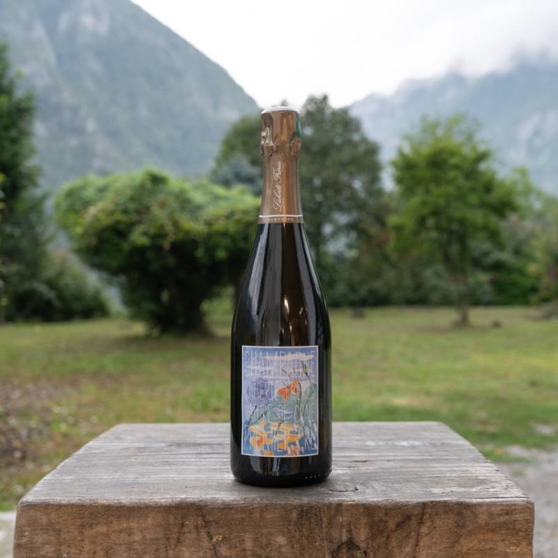 Champagne Nature de Craie
