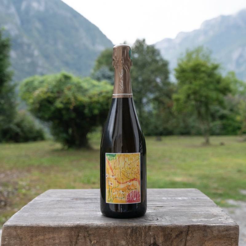 Champagne Petit Meslier