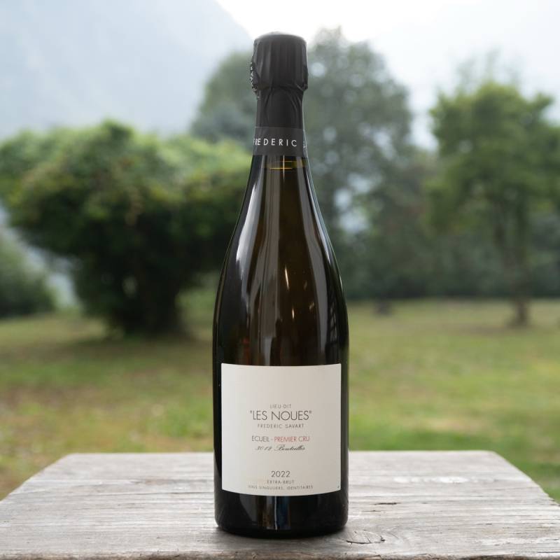 Champagne Extra Brut Les Noues 2022