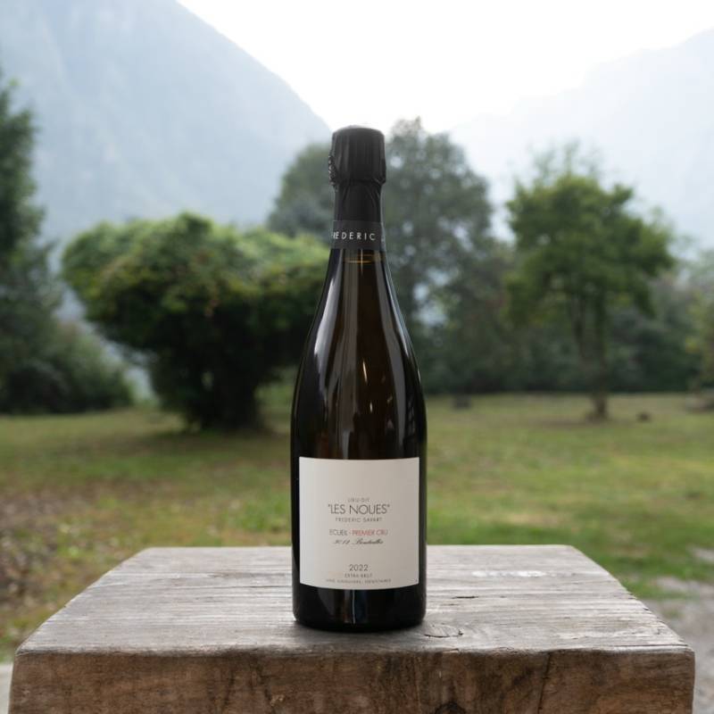 Champagne Extra Brut Les Noues 2022
