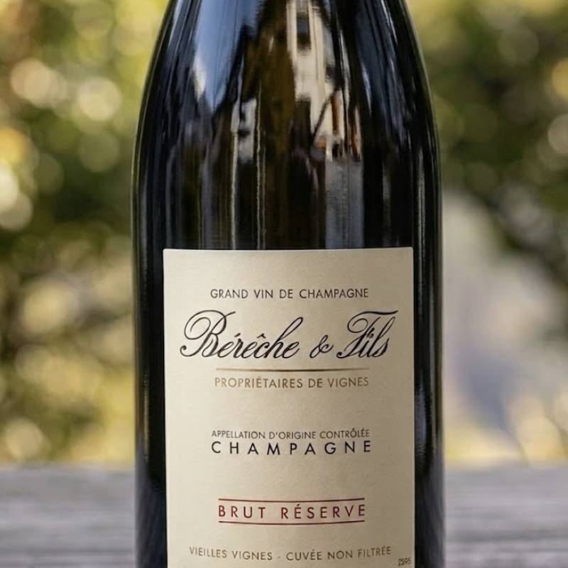 Champagne Brut Reserve Magnum