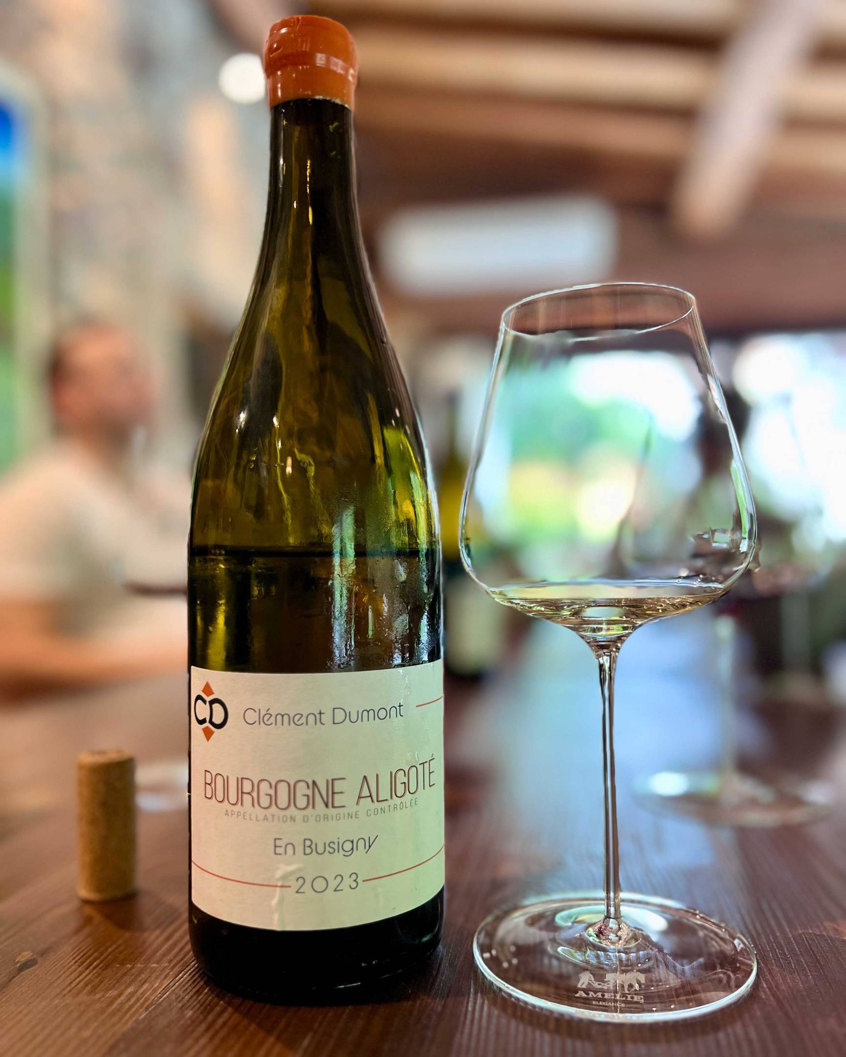 Vitacée & Clément Dumont: due vignaioli, una cantina a Beaune