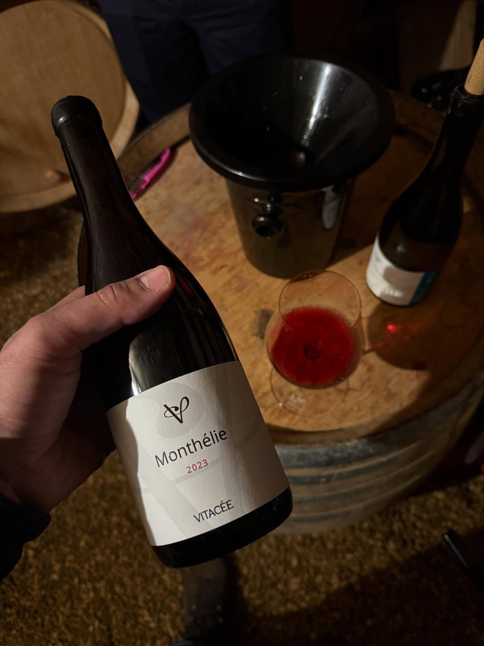 Vitacée & Clément Dumont: due vignaioli, una cantina a Beaune