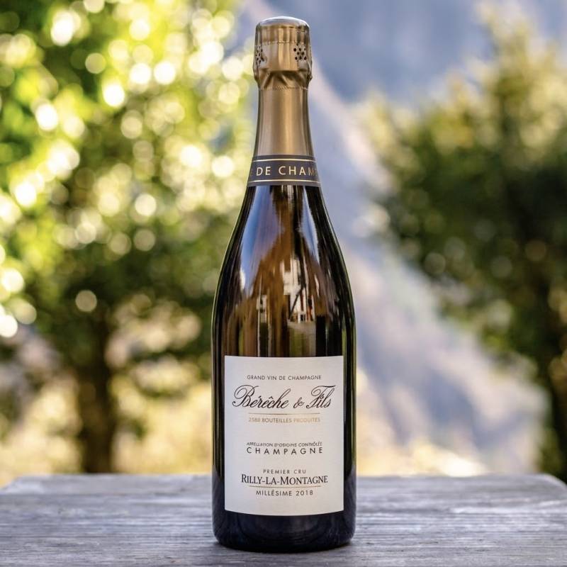 Rilly-la-Montagne 1er Cru