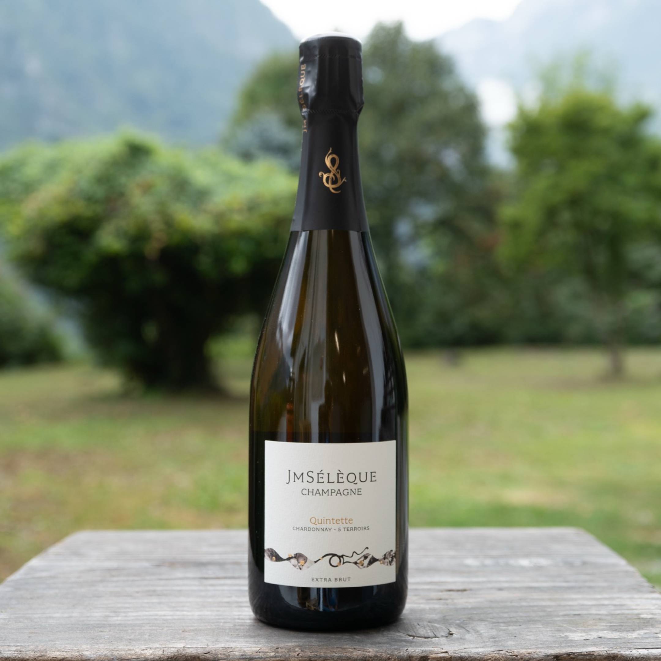 J-M Seleque Champagne Quintette Blanc de Blancs