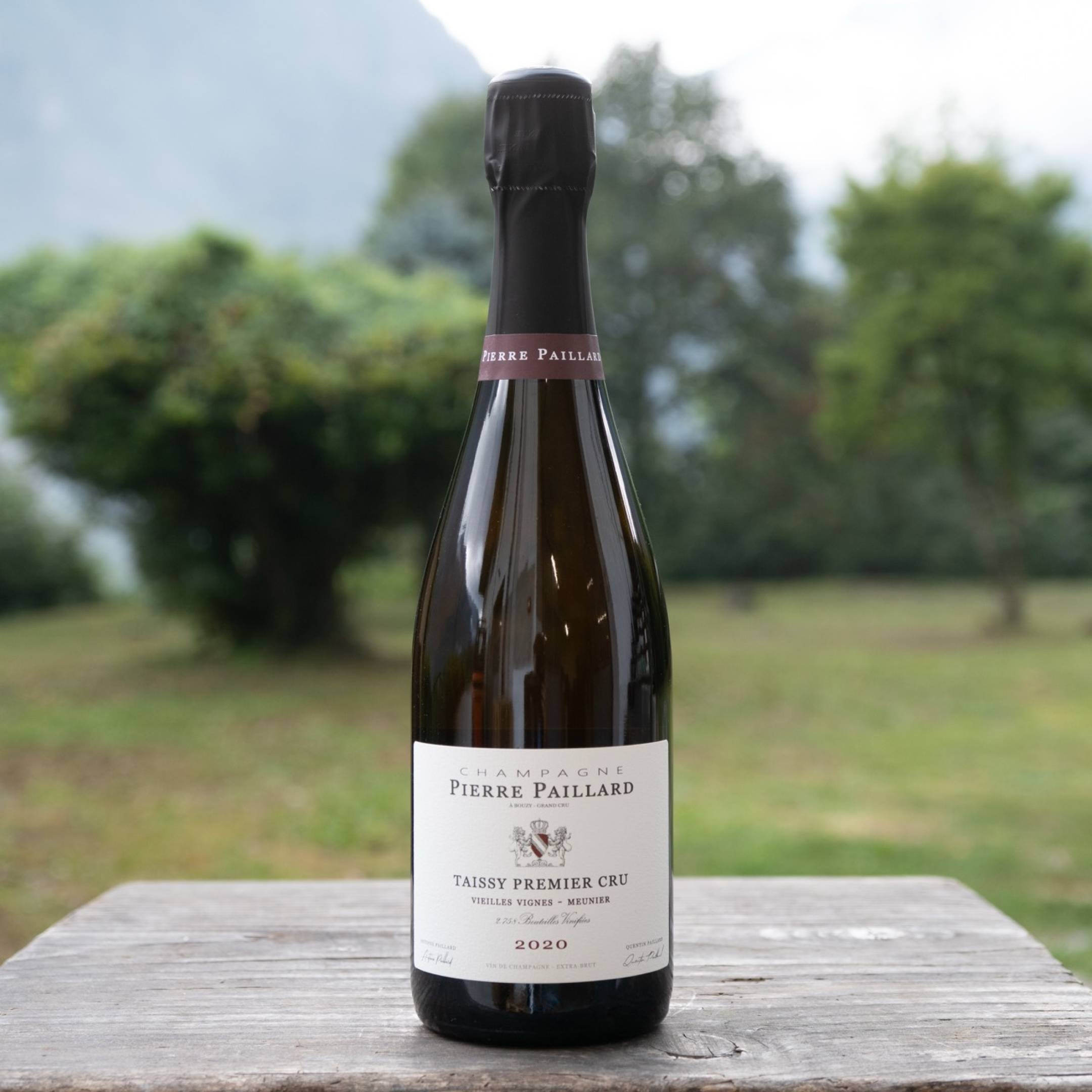 Pierre Paillard Taissy Vieilles Vignes Meunier