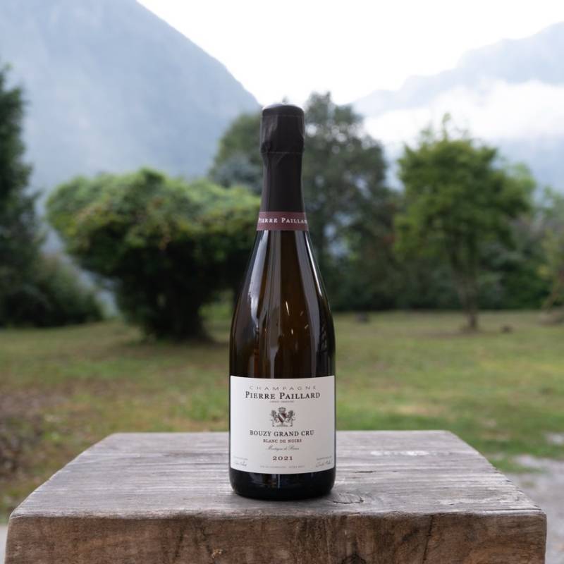 Bouzy Grand Cru Blanc de Noirs