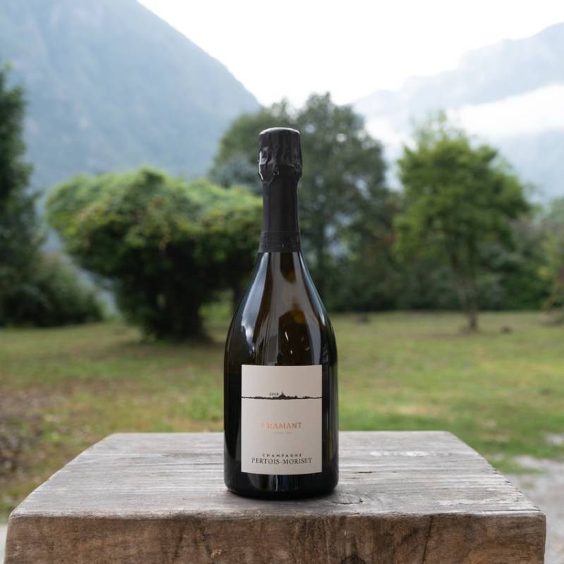 Cramant Grand Cru