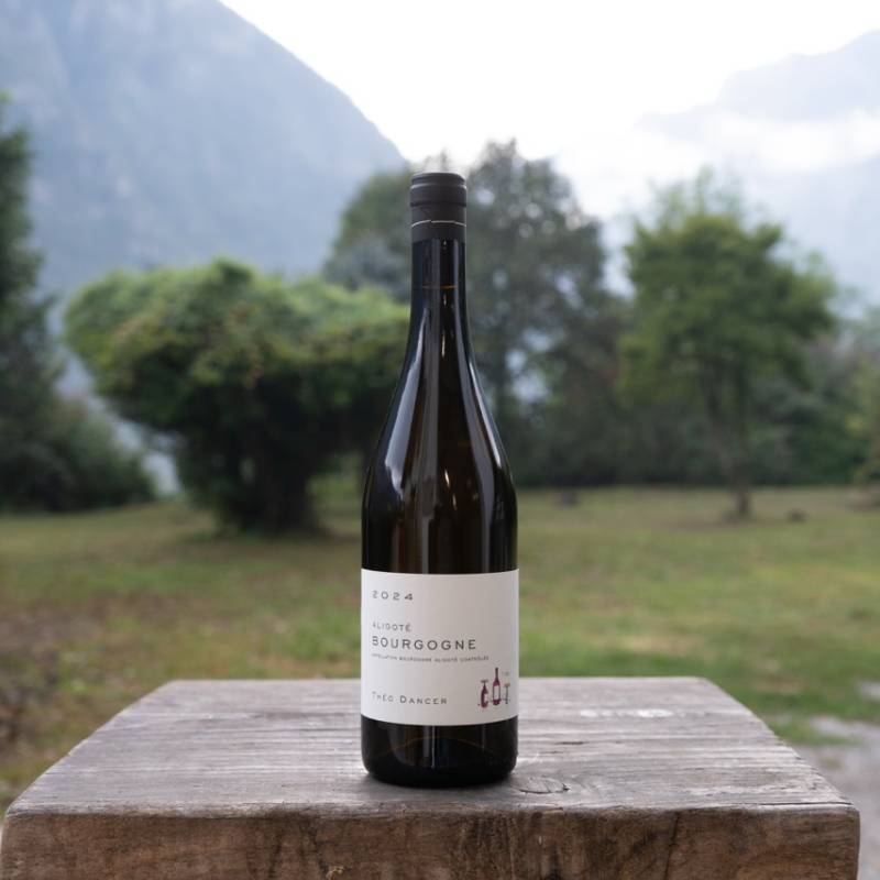 Theo Dancer Bourgogne Aligote