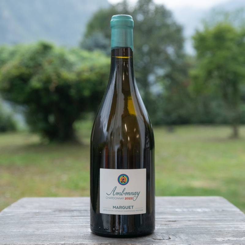 Coteaux Champenois Ambonnay Blanc 2022