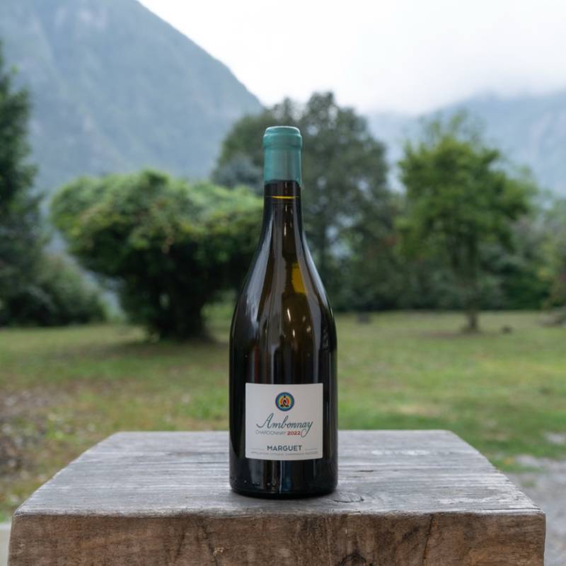 Coteaux Champenois Ambonnay Blanc 2022