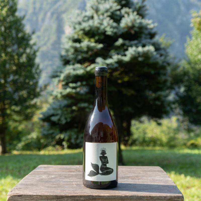 Gueule d'Amour Bourgogne Pinot Noir