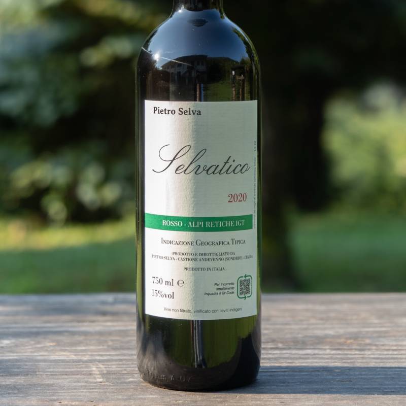 Selvatico