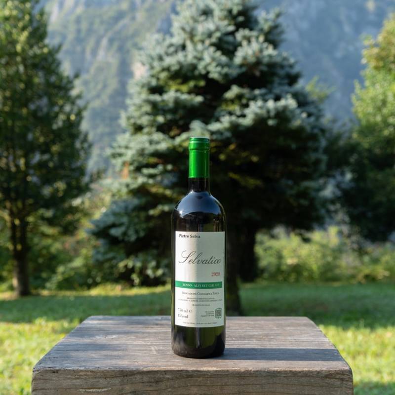 Selvatico