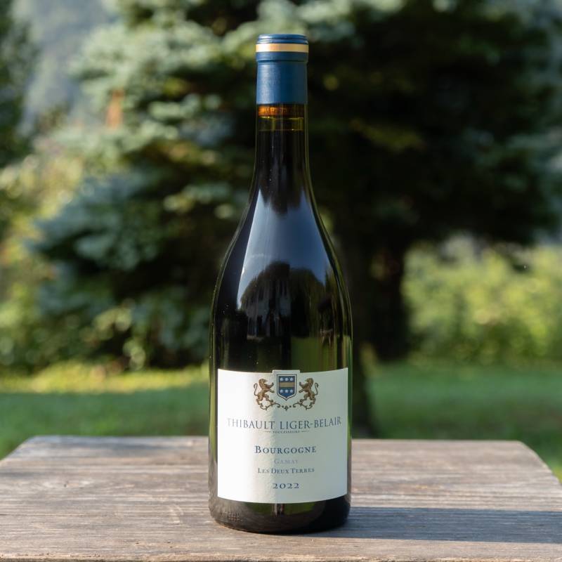 Bourgogne Gamay Les Deux Terres
