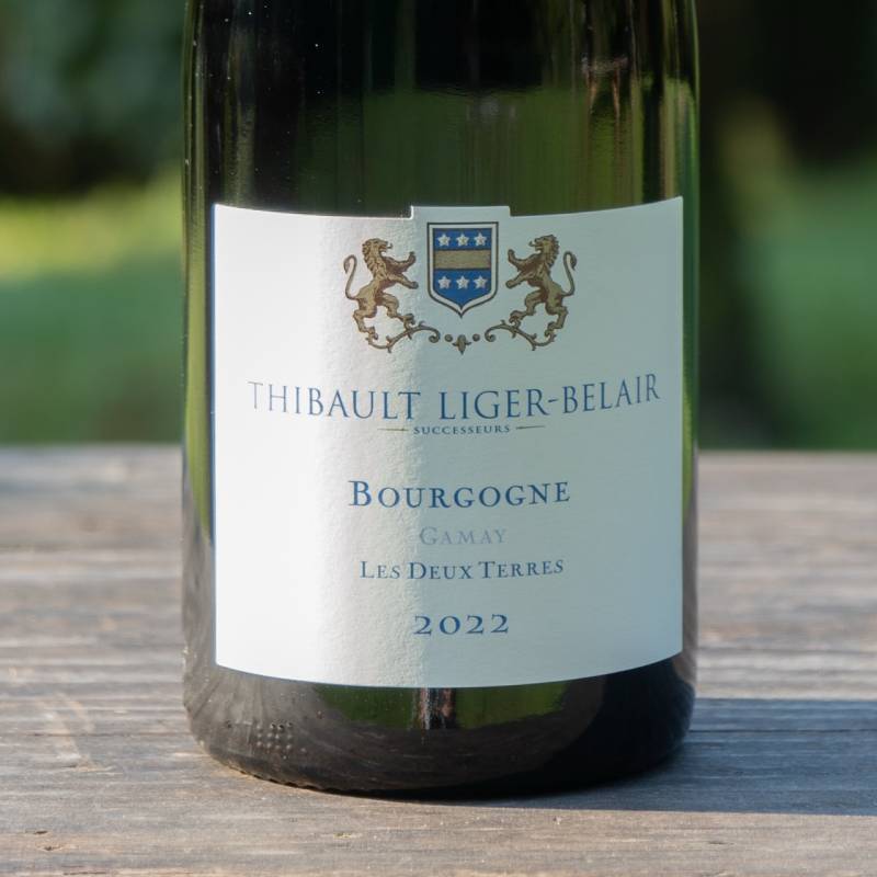 Bourgogne Gamay Les Deux Terres
