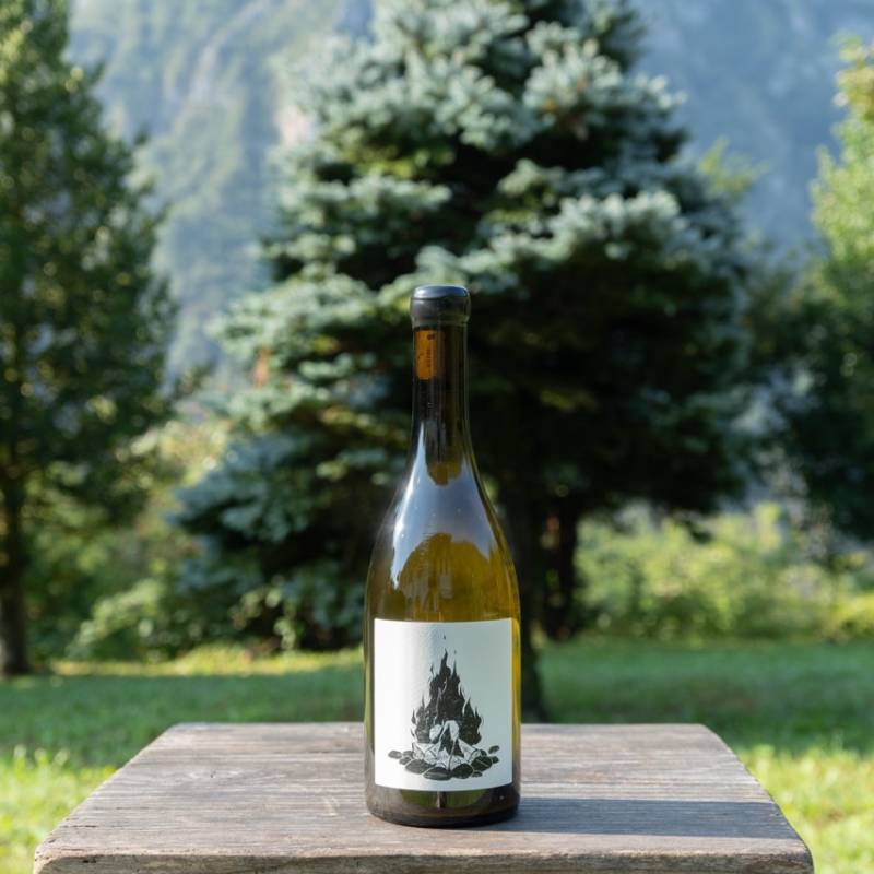 Saint Aubin 1er Cru La Chateniere La Sauvage 2023