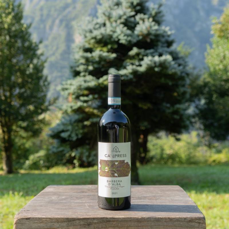 Barbera d'Alba