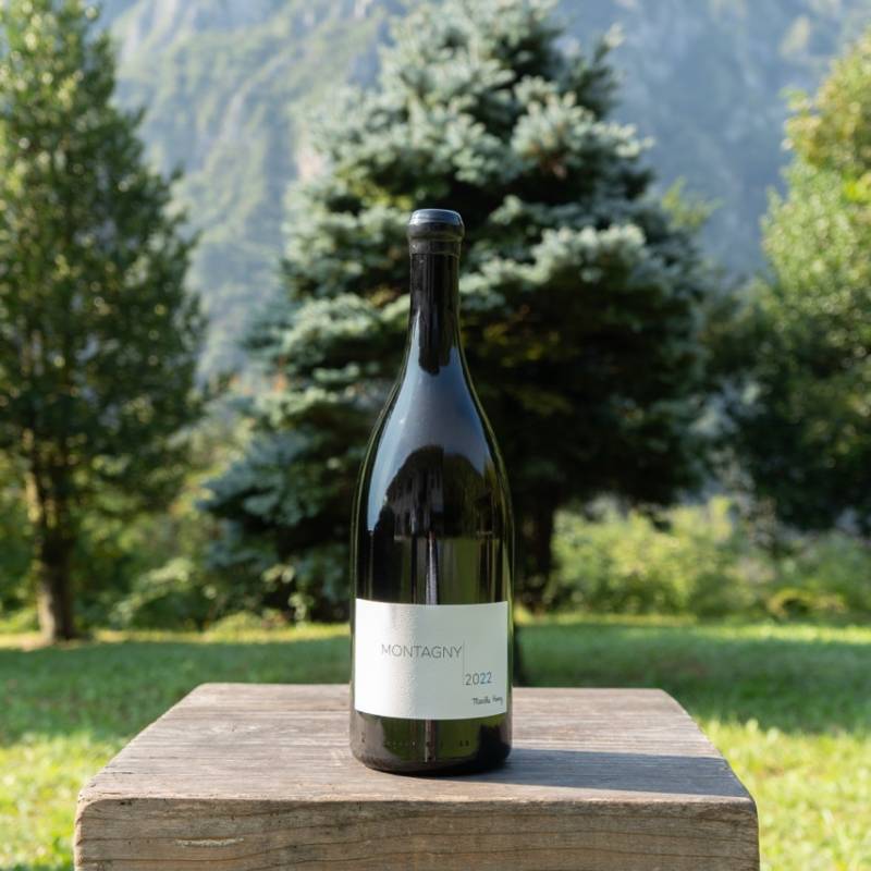Montagny Blanc Magnum
