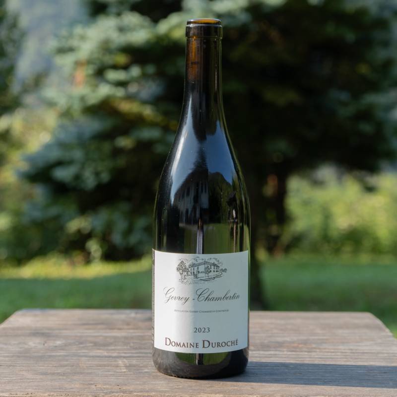 Gevrey Chambertin 2023