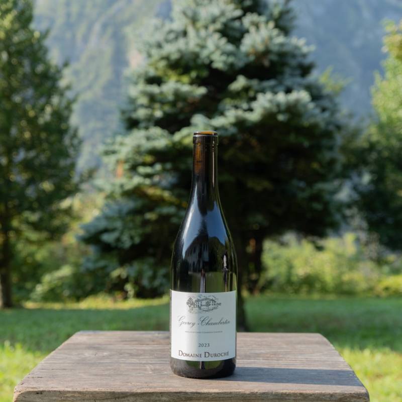 Gevrey Chambertin 2023