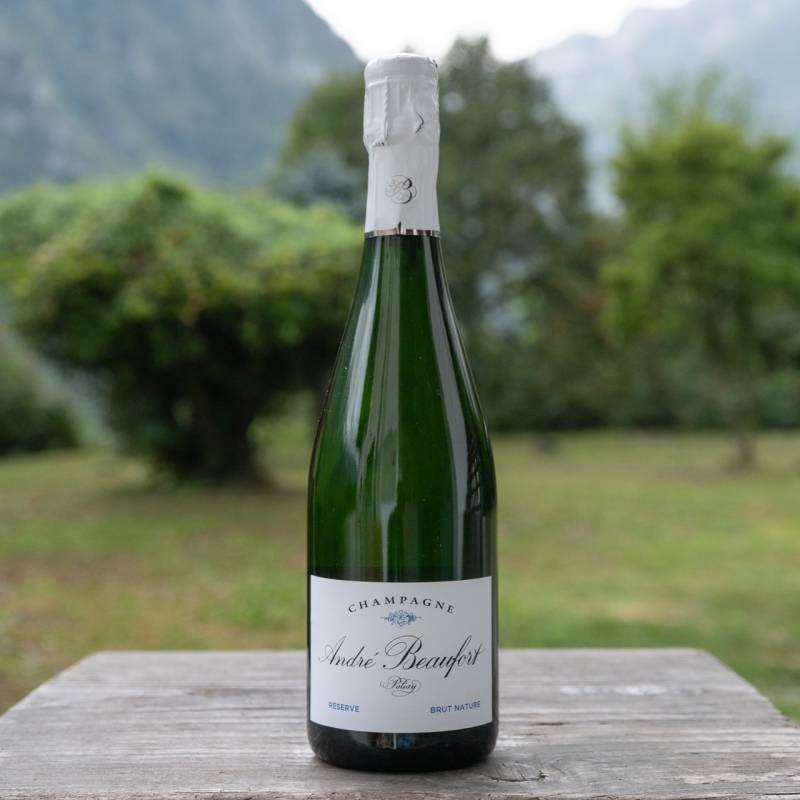 Polisy Reserve Brut