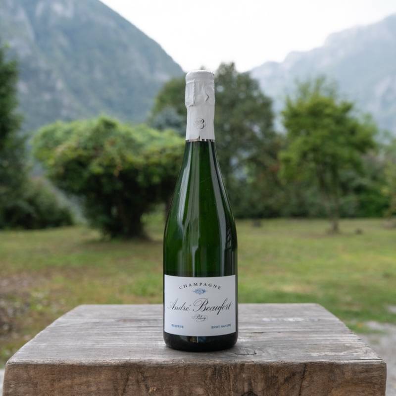 Polisy Reserve Brut