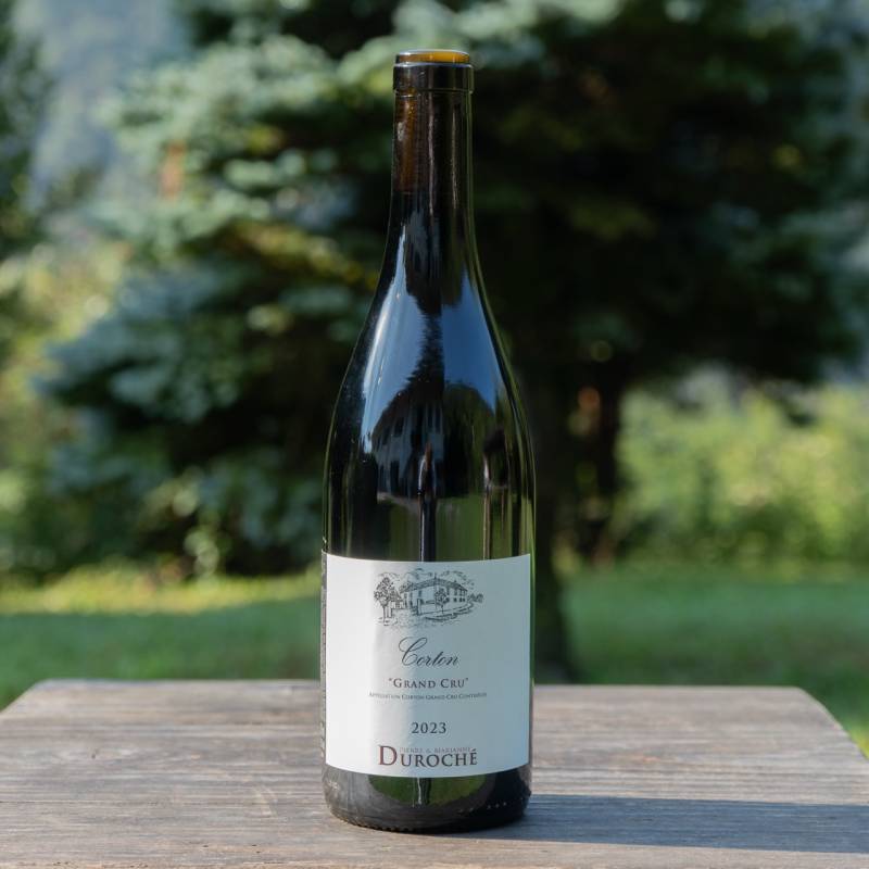 Corton Gran Cru 2023