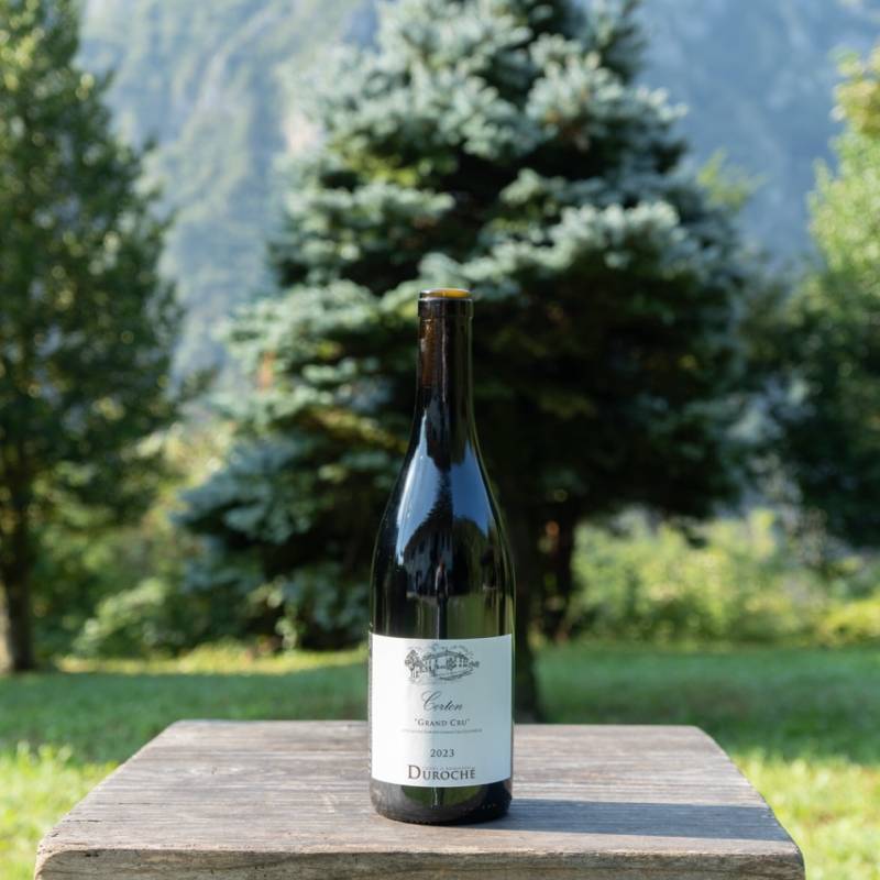 Corton Gran Cru 2023