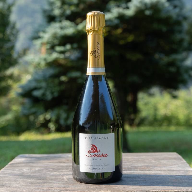 Champagne Cuvee des Caudalies Blanc de Blancs