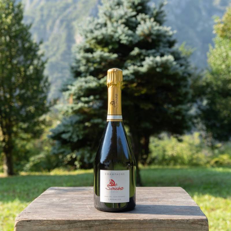 Champagne Cuvee des Caudalies Blanc de Blancs