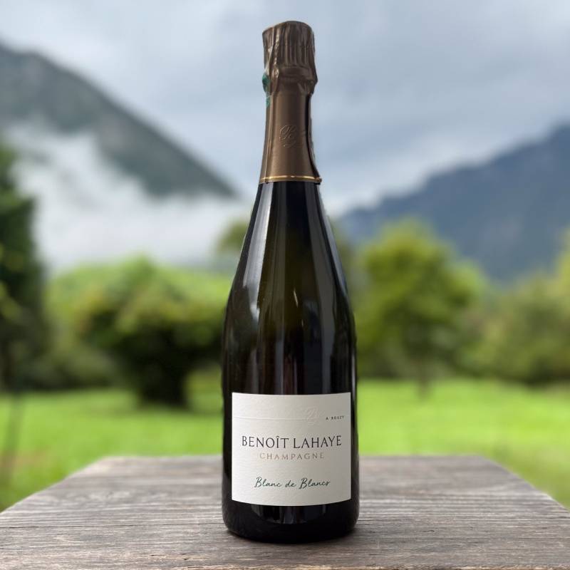 Blanc de Blancs