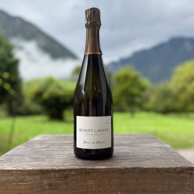 Blanc de Blancs