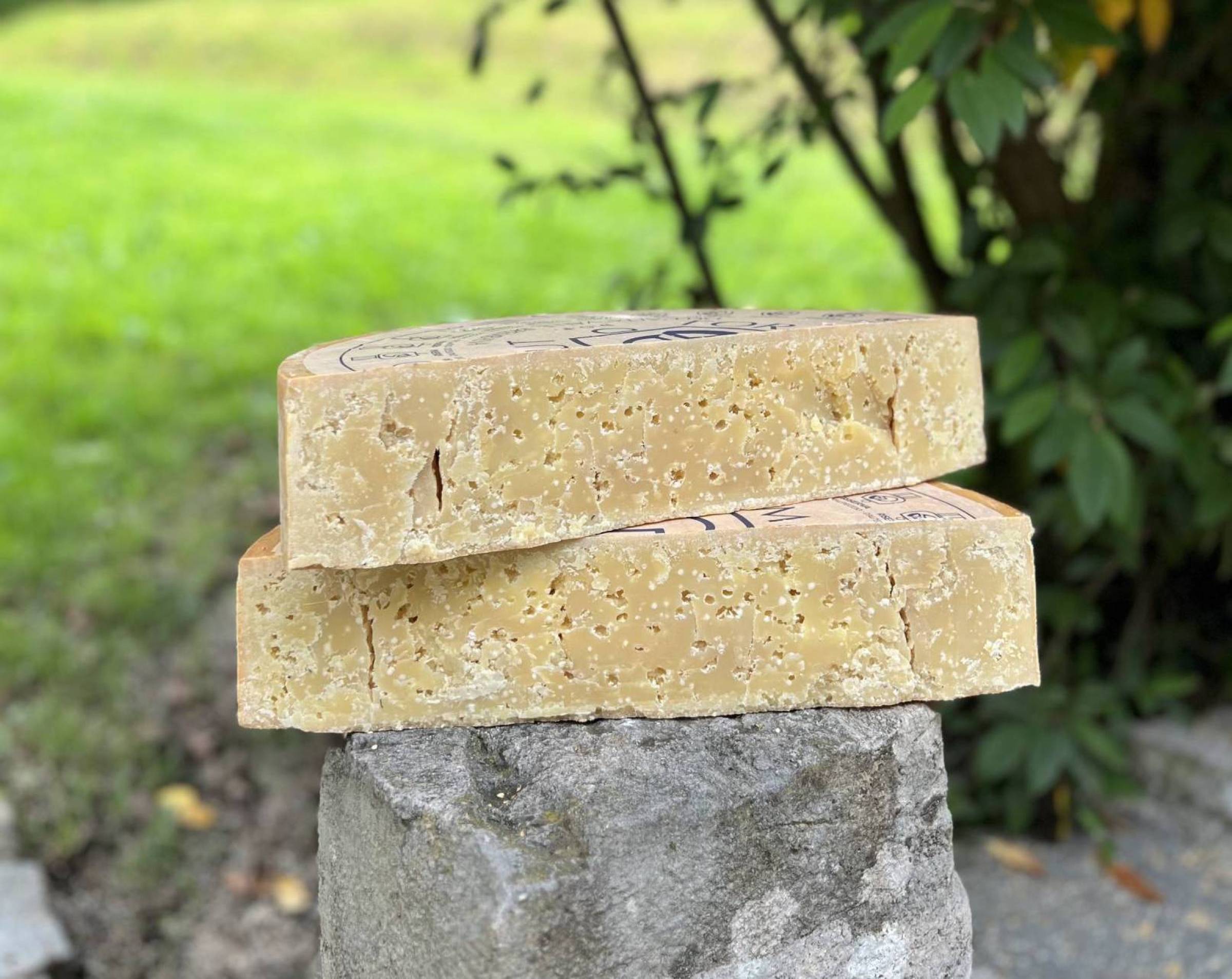Formaggi