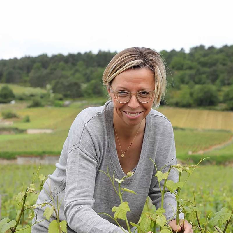 Caroline Morey