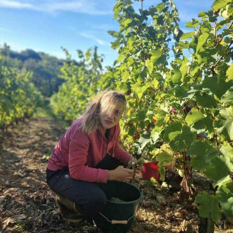 Clos des Breteches