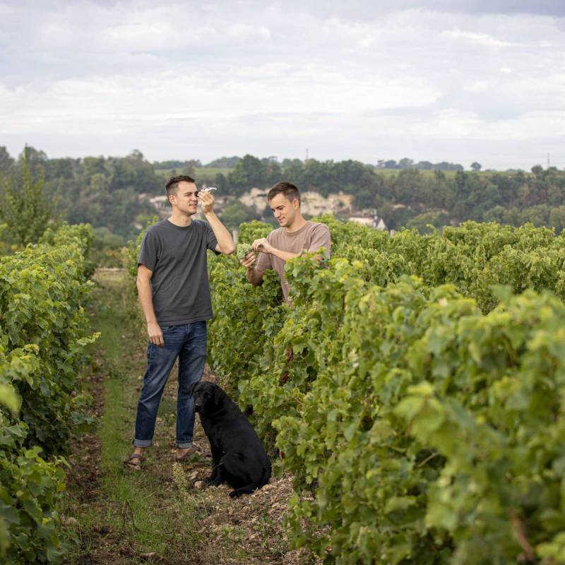 Clos Thierriere
