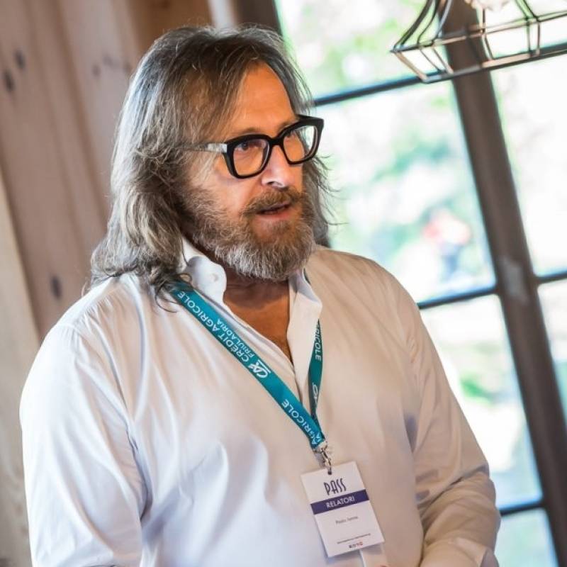 David Stein