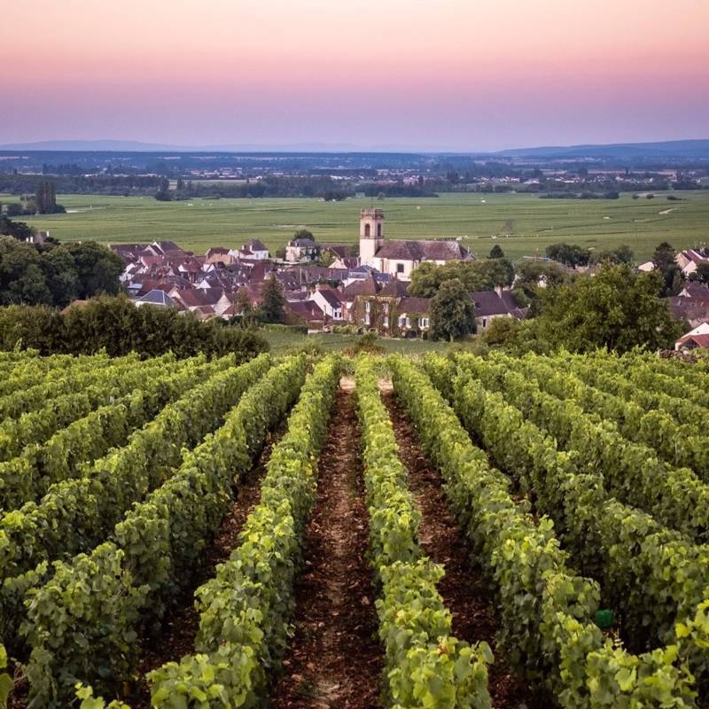 Domaine Berthelemot