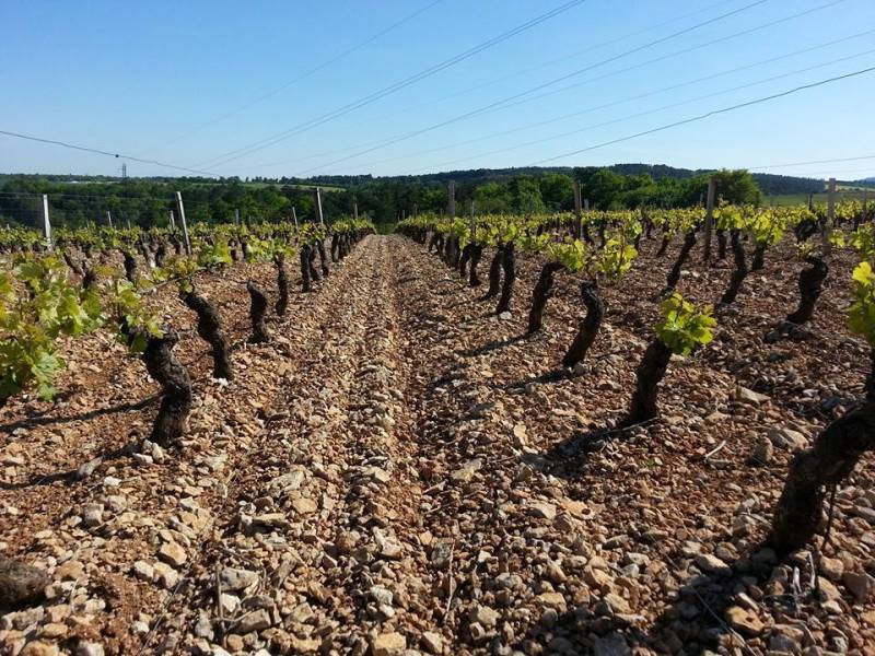Domaine de la Cras Marc Soyard