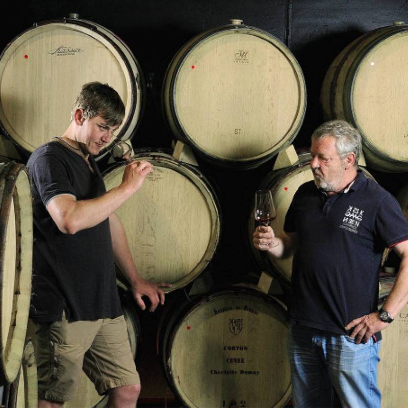 Domaine de Vernus
