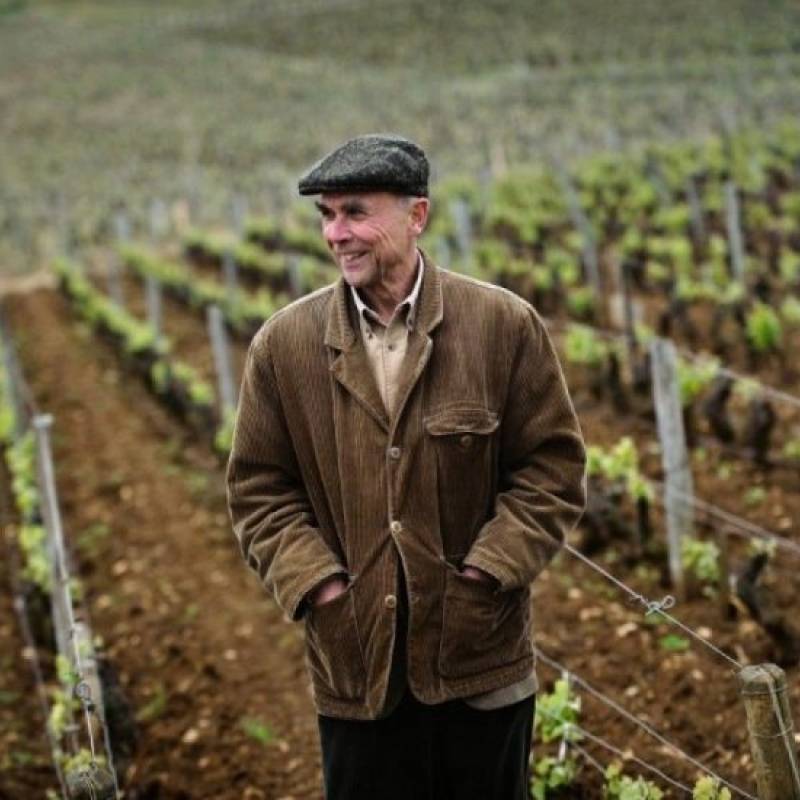 Domaine de Villaine