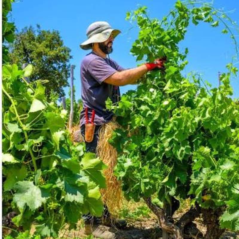 Domaine Dexaie
