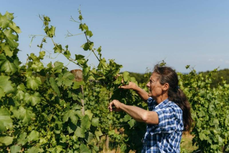 Domaine Henri Naudin-Ferrand