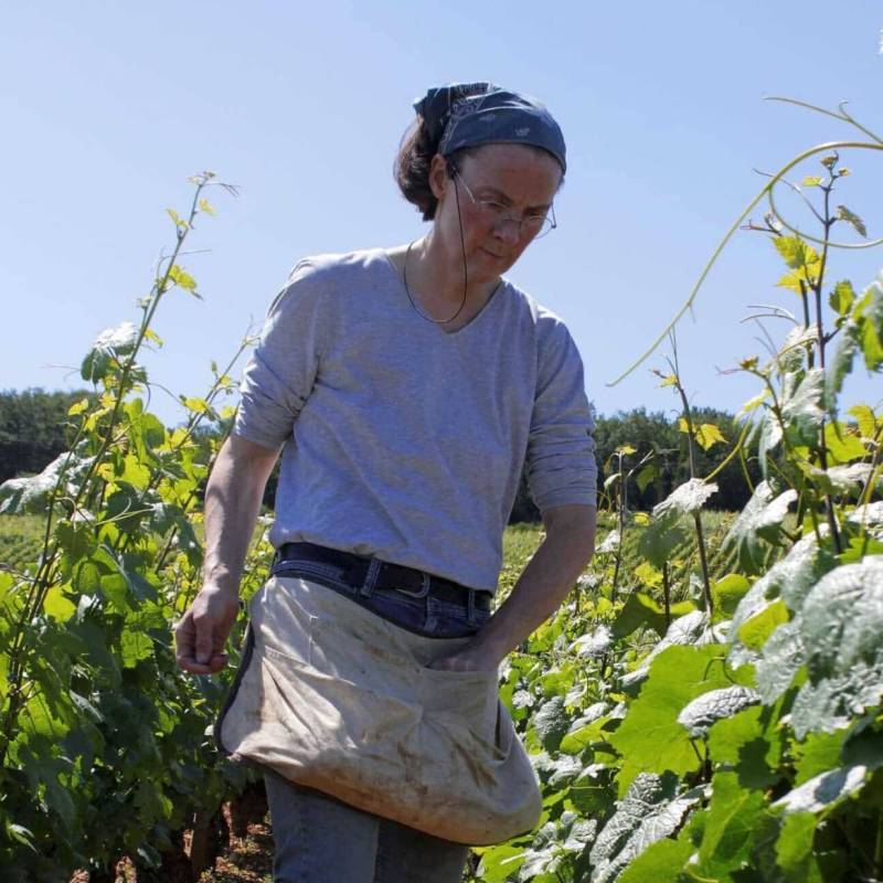 Domaine Henri Naudin-Ferrand