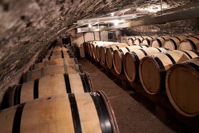 Domaine Pernot Belicard