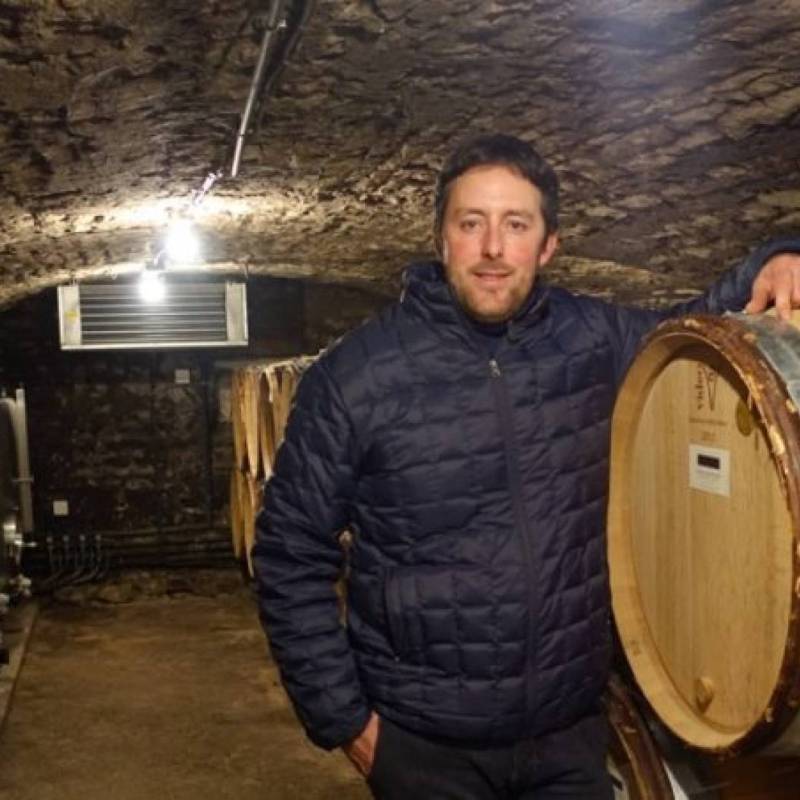 Domaine Pernot Belicard