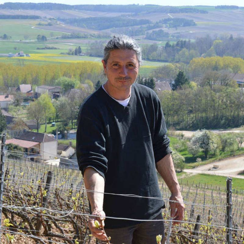 Domaine Piollot