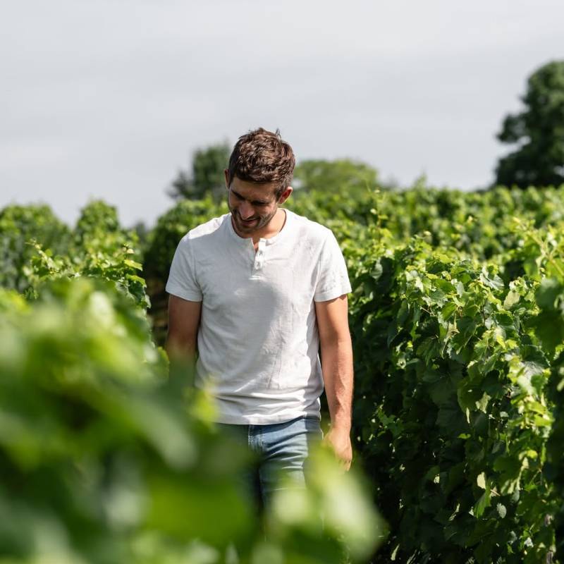Dremont Pere et Fils
