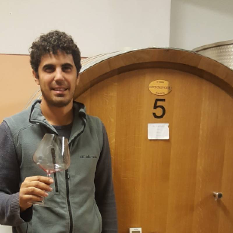 Francesco Versio